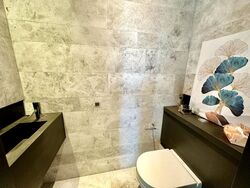 OUE Twin Peaks (D9), Condominium #502317651